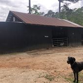 Palmetto Horse Barn/Farm/Pool