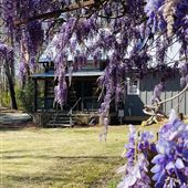 Log cabin - Loganville GA