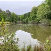 Moose Lake