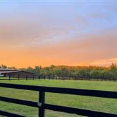 20+ acre working horse farm next to flint river