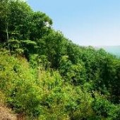 Lake Yonah