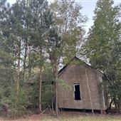 Spooky House in the Woods