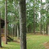 Bliss Hills Farm