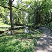 Winn Park