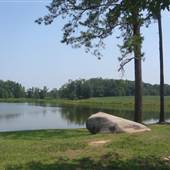 Falling Creek Farms