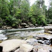 Toccoa River Rapids