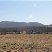 Vickers Farm
