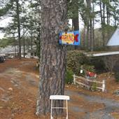 Matilda's Music Under The Pines