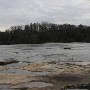 Flint River Jan 2010