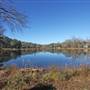 Pine Lake