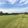 Tallapoosa 100 acres