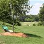 Candler Park