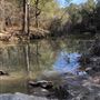 10 acre River woods lot