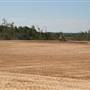 Barren Land at Berry College