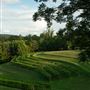 Newby Vineyard & Winery