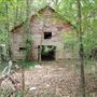 Overgrowth and Old Barn Five Miles South of Airport