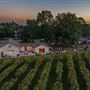 Cloudland Vineyards & Winery