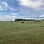 Burch Farm