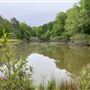 Moose Lake