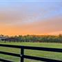 20+ acre working horse farm next to flint river