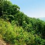 Lake Yonah