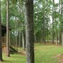 Bliss Hills Farm