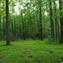 Anderson Property
