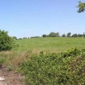 Zeigler Road