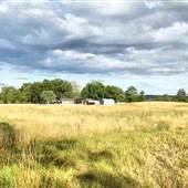 Chris Ozment Farm / Photography Studio