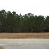 Wooded nonresidential property in Griffin (Spalding Co)