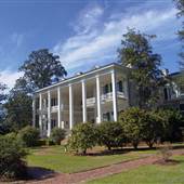Pebble Hill Plantation