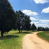 Cedar Hill Pastures and Horse Farm