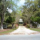 Strathy Hall Plantation