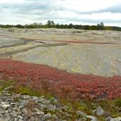 Davidson-Arabia Nature Preserve
