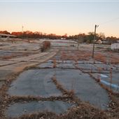 Fenner Dunlop Property