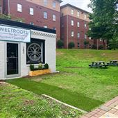 Sweetroots Hair Bar