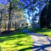 Pattillo Way