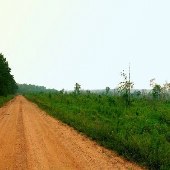 Madison Dirt Road