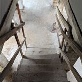 Creepy basement