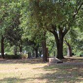 Old Historic Cemetery