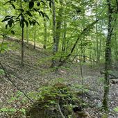 The Rock Farm