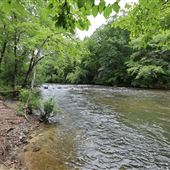 Toccoa River