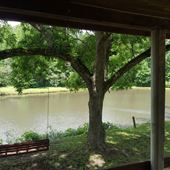 Conner Lake, Secluded in Palmetto