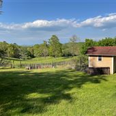 Little Tails Farm