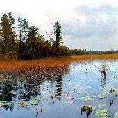 Okefenokee National Wildlife Refuge