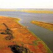 Ossabaw Island Aerials