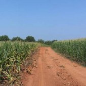 Pennington Farm Community