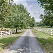 Horse Barn and Woodlands