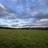 Spring Valley Eco Farms