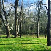 Armuchee Creek